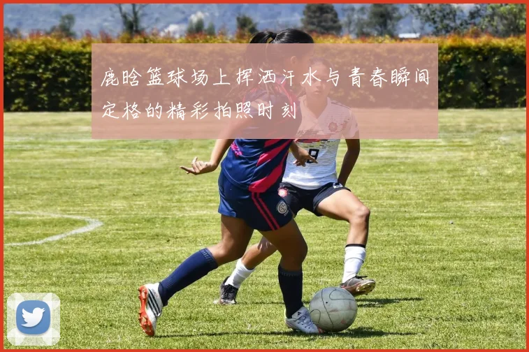 鹿晗篮球场上挥洒汗水与青春瞬间定格的精彩拍照时刻