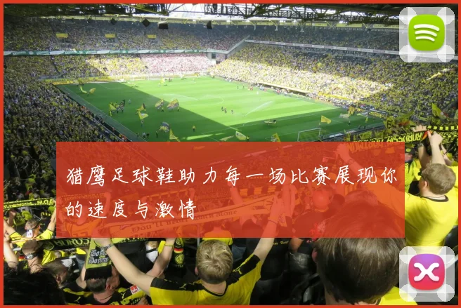 猎鹰足球鞋助力每一场比赛展现你的速度与激情